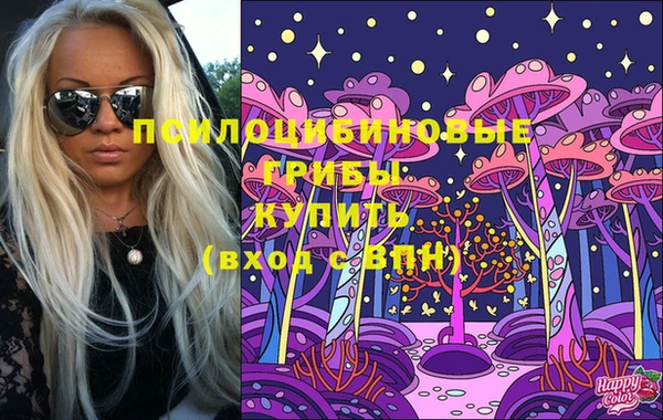 прущий лед Заводоуковск
