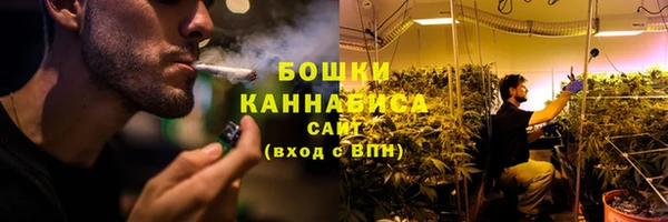 прущий лед Заводоуковск