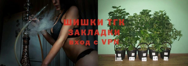 прущий лед Заводоуковск