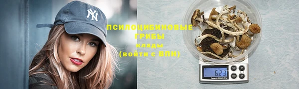 spice Заволжск