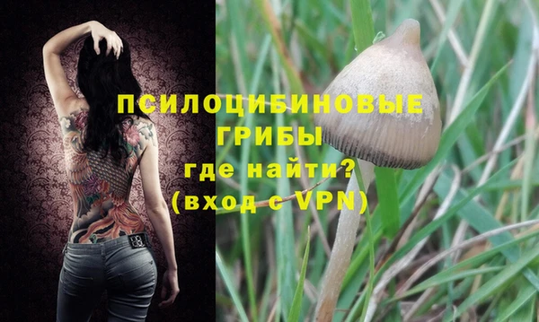 прущий лед Заводоуковск